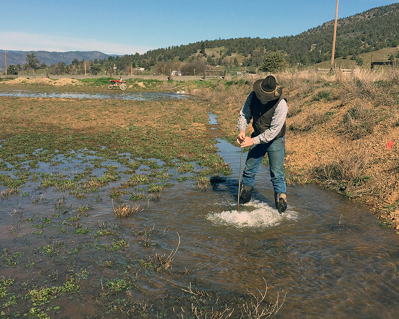 Bryan-Morris Ranch manager Jim Morris stands in a flooded alfalfa field along the Scott River in Siskiyou County. (Photo courtesy Steve Orloff)