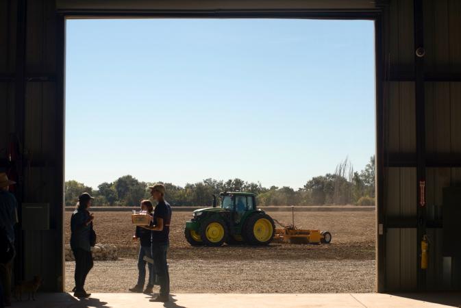 Researchers talk while a tractor moves across a field at the UC Davis Russell Ranch Sustainable Agriculture Facility in 2016. (Gregory Urquiaga/UC Davis)