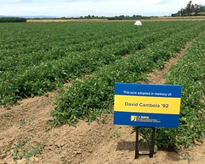 A one-acre plot at the UC Davis Russell Ranch has been named to honor Dave Camboia by his friend DeWayne Quinn.