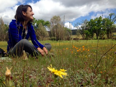 Lead author Marina LaForgia, a graduate student at UC Davis, takes a break at her field site at McLaughlin Natural Reserve. Photo: Sasha Vafaei/UC Davis