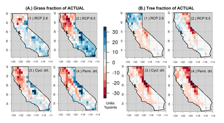 Study Figure 1: Grassland (A) and forest (B) retreat or expansion in response to 21st century climate changes. Blue indicates expansion; red indicates contraction. Forests retreat in all future climates except those associated with aggressive emissions reductions (RCP 2.6)