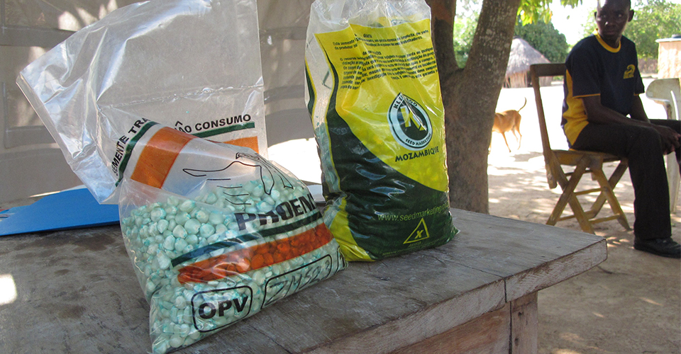 Bags of drought-tolerant maize seed available for sale to farmers in Mozambique. (Jonathan Malacarne/AMA Innovation Lab)