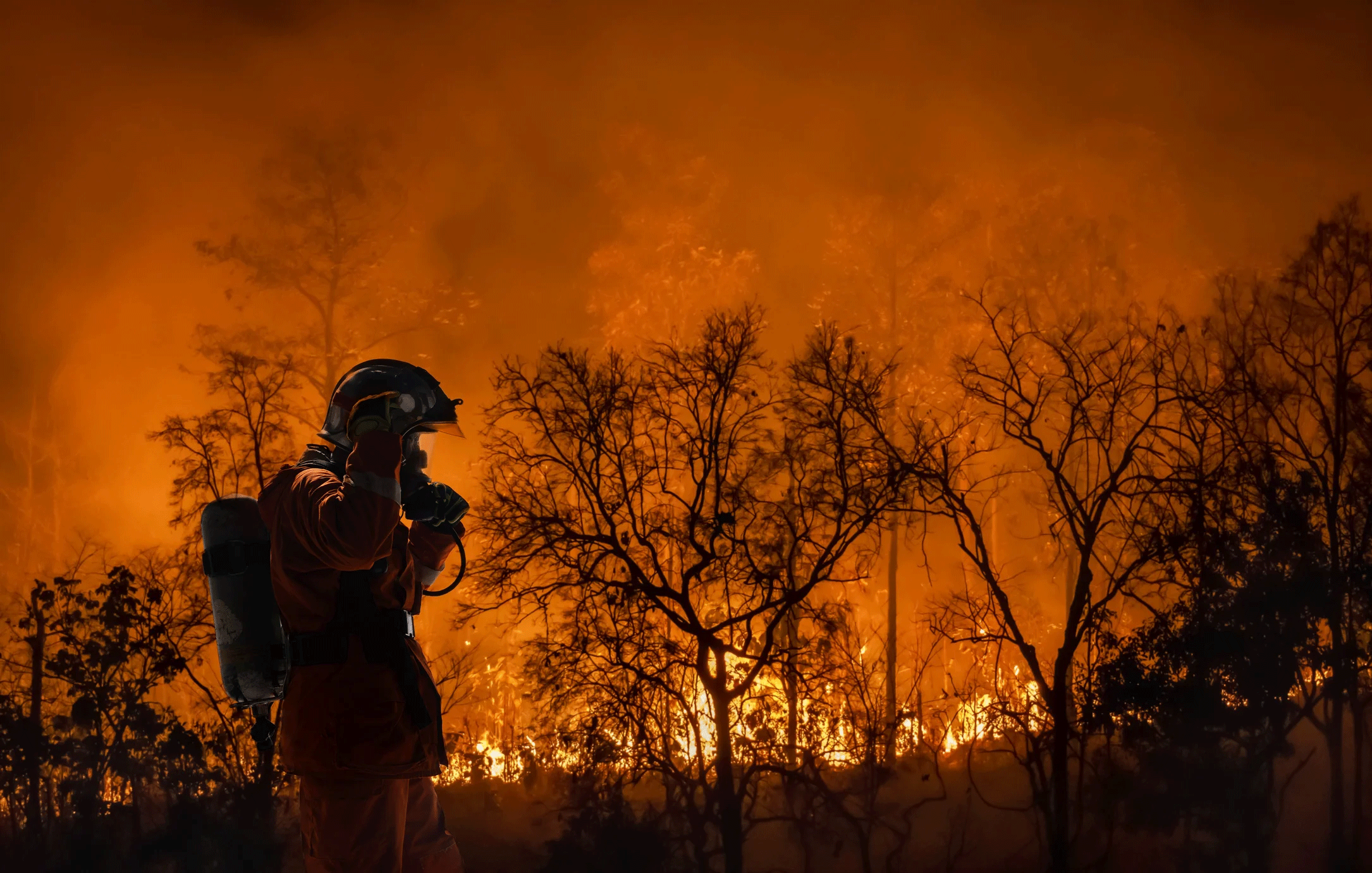 Another UC Davis project funded through the California Climate Action Grants will assess exposure, health monitoring and cancer control among wildland firefighters. (Getty)