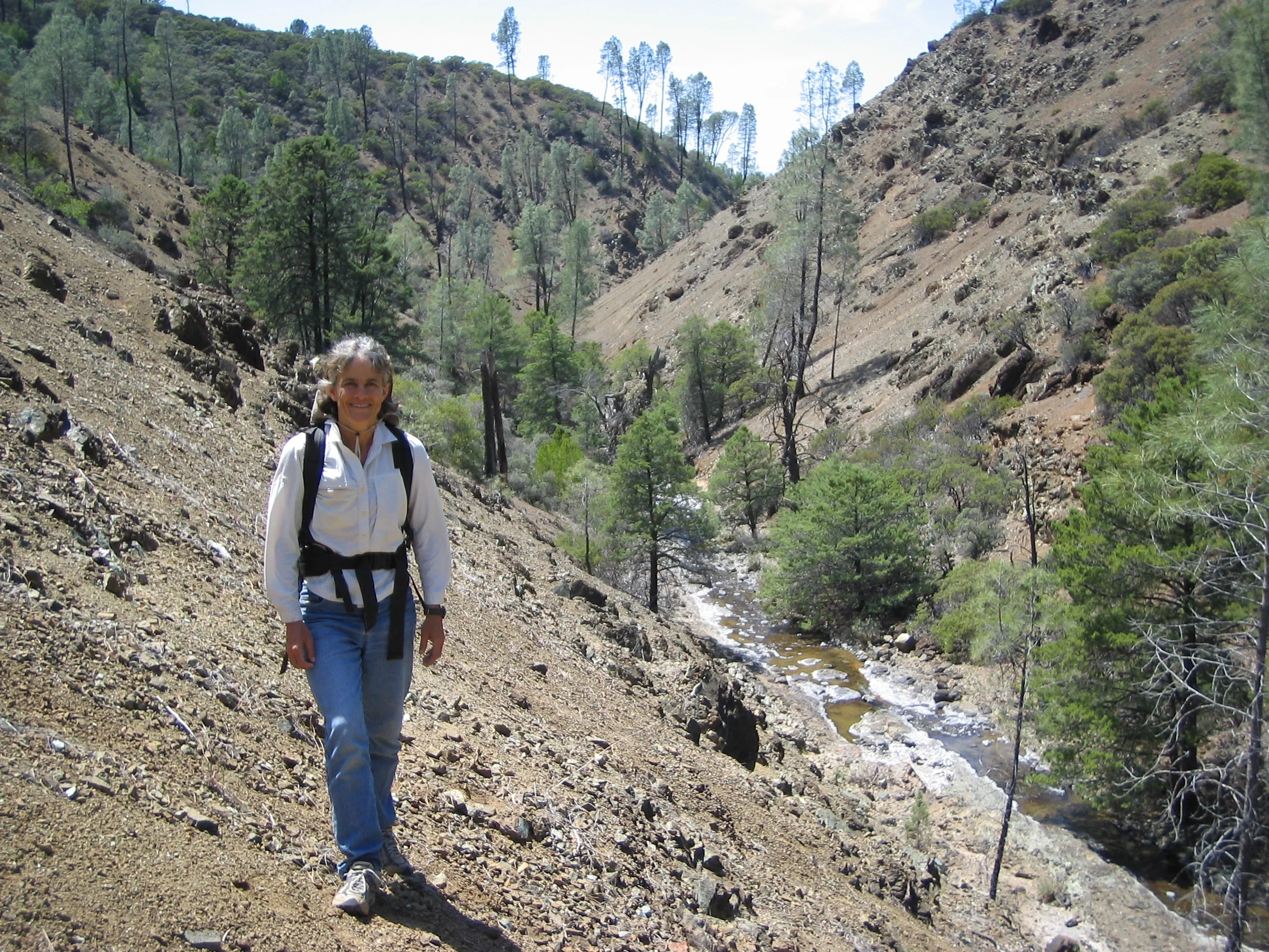 Susan P Harrison outdoors walking on a trail on a research trip. Harrison during a research trip. She has been conducting research at UC Davis' McLaughlin Natural Reserve for nearly 40 years. (UC Davis photo)