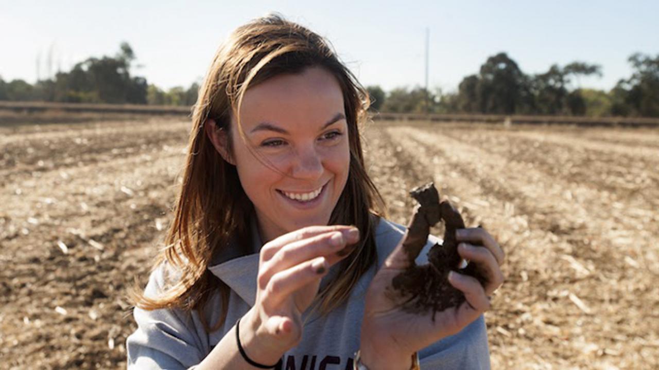 Soil has one of the most diverse ecosystems on the planet. (Gregory Urquiaga/UC Davis)