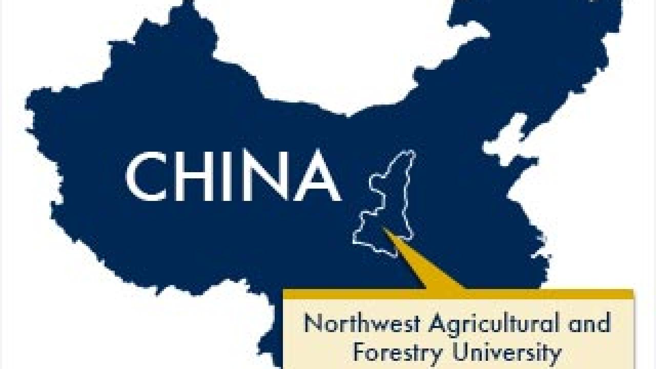 UC Davis will be partnering with Northwest Agricultural and Forestry University in Yangling, Shaanxi. (Tom Watts/UC Davis graphics and China map from Wikimedia Commons)