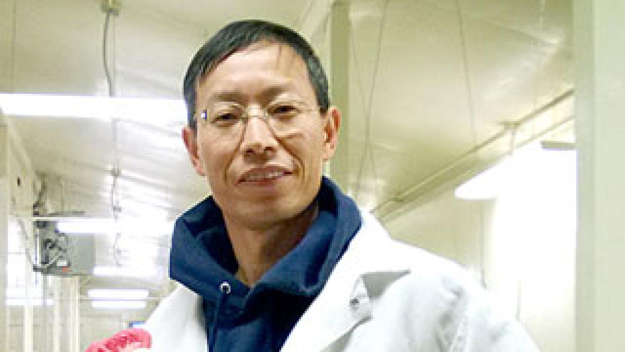 Huaijun Zhou leads this effort to increase chicken production among Africa's rural households and small farms, using advanced genomics to develop chickens that can resist disease and tolerate hot climates.