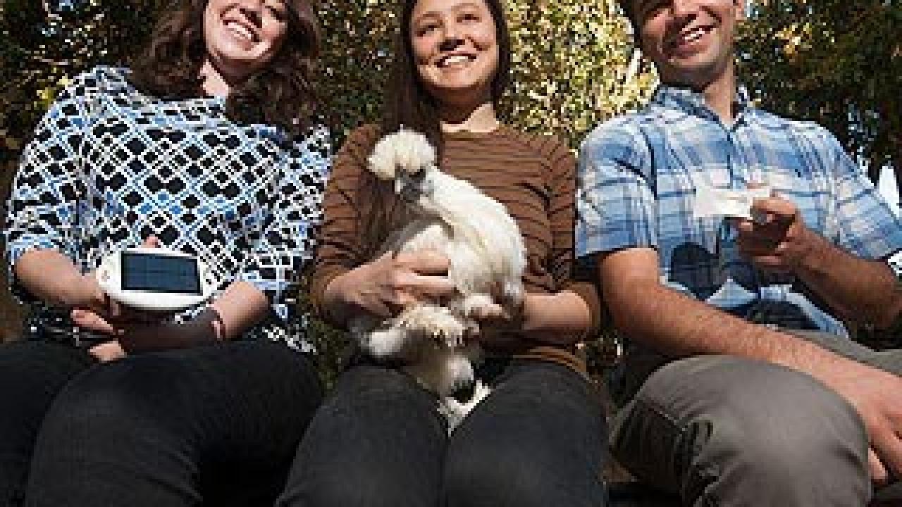 UC Davis entrepreneurs (from left) Lorena Galvan, Emily Sin, and Edward Silva hold a silkie chicken and their new product, a Henlight. (photo: Gregory Urquiaga/UC Davis)