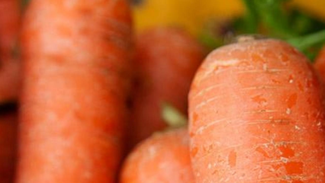 Genome sequencing reveals how carrots have become good at accumulating carotenoids, the pigment compounds that give them their characteristic colors and nutritional richness. (Gregory Urquiaga/UC Davis)
