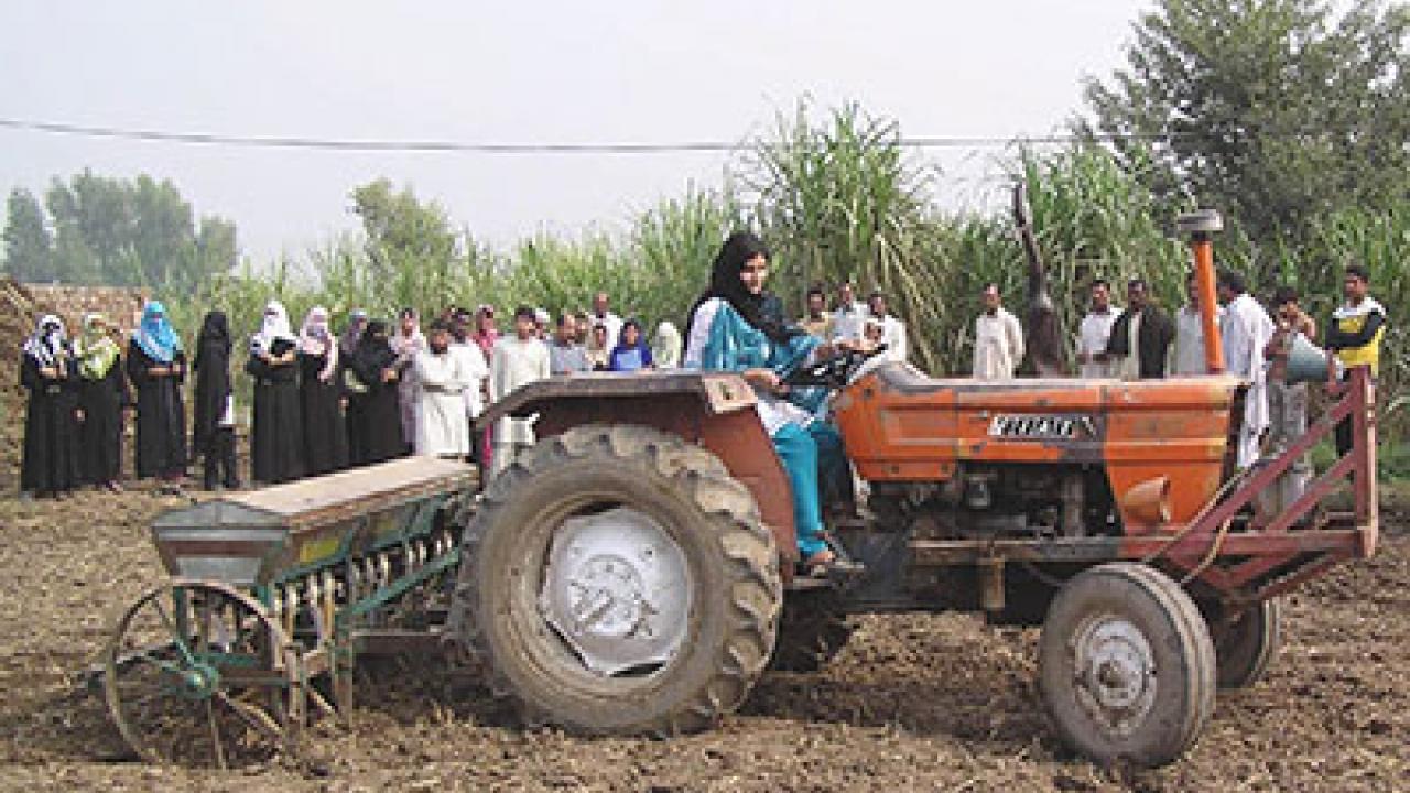 Agriculture, including vegetables, grain and fruit crops, is the largest sector of Pakistan's economy. (UC Davis International Programs courtesy photo)