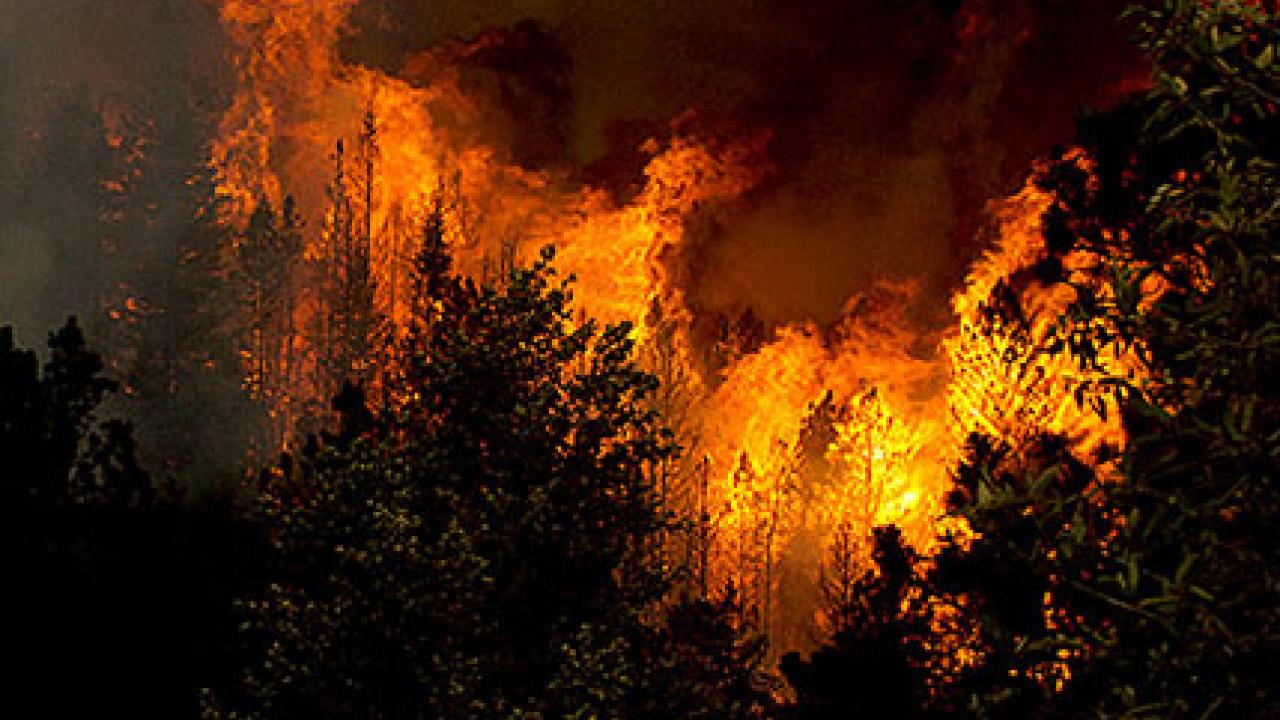 At a time when forest fires are predicted to grow throughout the West, national forest managers, policymakers and the public currently have unique opportunities to reform wildfire management. (U.S. Army/photo)