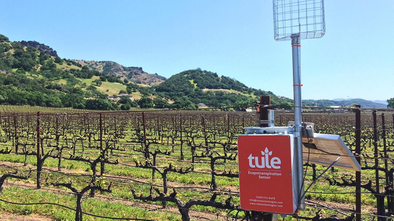 Alumnus Tom Shapland licensed technology developed at UC Davis and cofounded a business that is maximizing irrigation efficiency in California vineyards, orchards, and fields. (Photo courtesy Alan Wells | TULE)