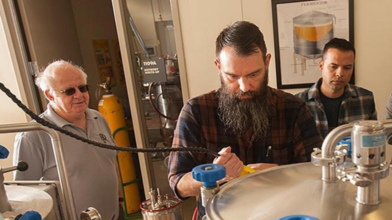 Professor Charlie Bamforth, left, and brewer Joe Williams, second from left, confer as beer is brewed in the UC Davis brewery. Williams is UC Davis’ first endowed brewer, thanks to a gift received in the last fiscal year.