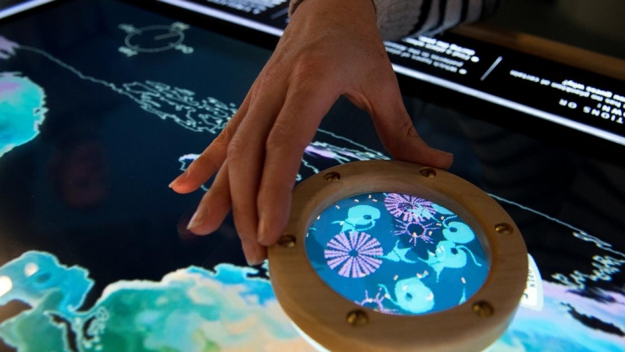 Global plankton populations are seen close-up in an Exploratorium exhibit created by UC Davis computer scientists Kwan Liu-Ma and Isaac Liao in collaboration with the Exploratorium and MIT. (photo: Exploratorium)