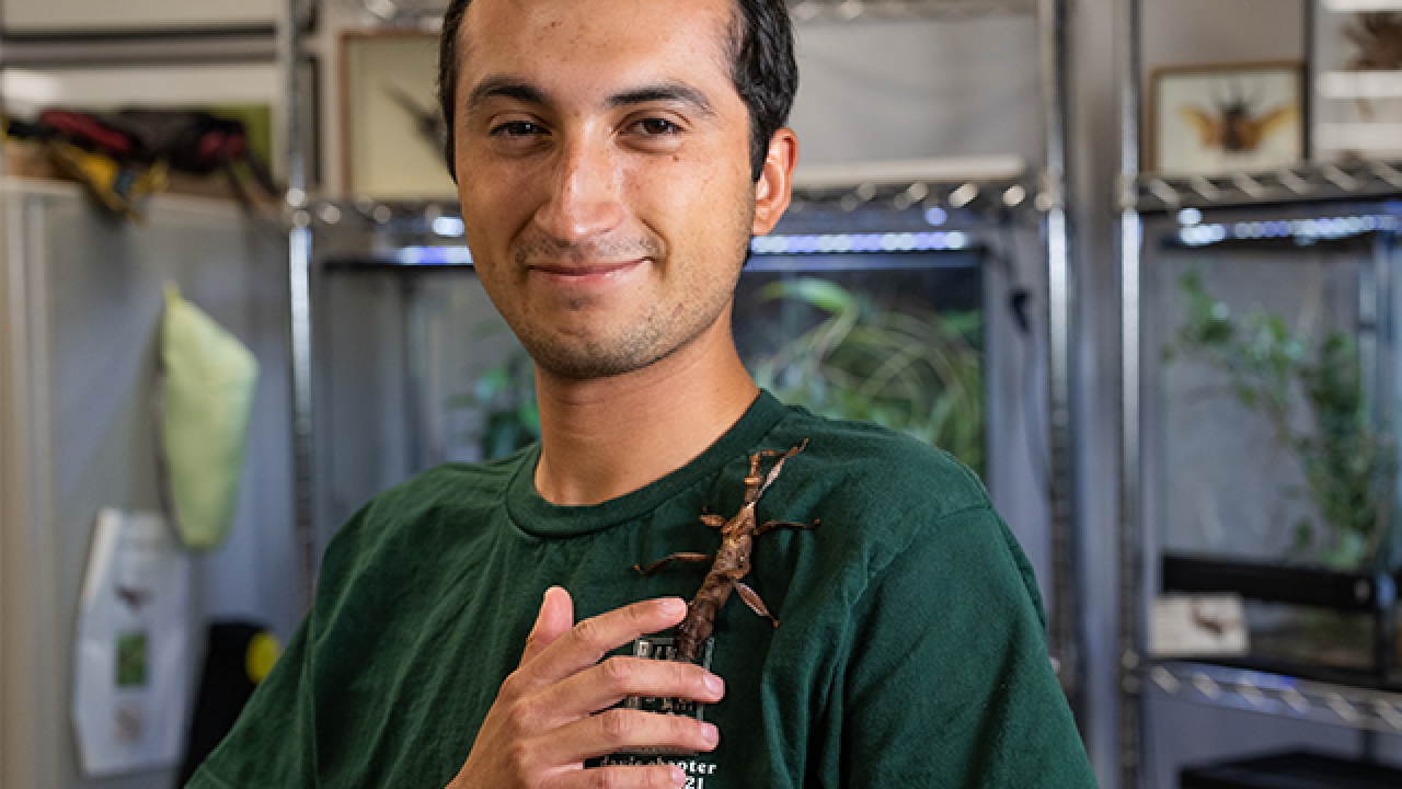Francisco Basso, 4th year undergraduate student in Wildlife, Fish & Conservation, looks at the camera while an insect crawl on his shoulder.