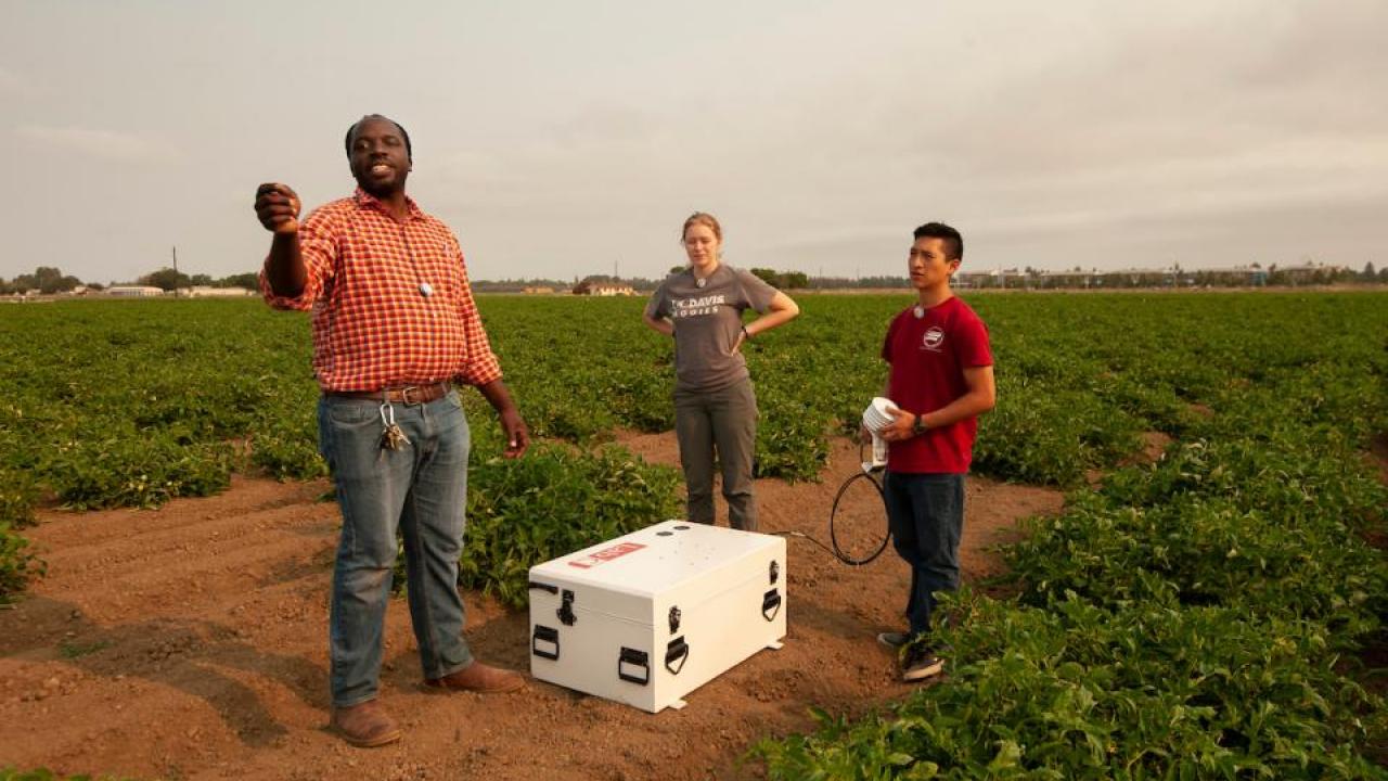 Professor Isaya Kisekka talks with Mackenzie Gulliams, a civil and environmental engineering major, and Marcoluis Garcia, hydrology major, about the sensor box that measures moisture during a new agricultural research project on crop irrigation underground with a modern computerized irrigation/fertilization system at the Campbell Tract. The tomato research field is a study in managing water and fertilizer together to minimize groundwater contamination. (Gregory Urquiaga/UC Davis)