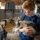 A female student holds a newborn goat.