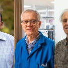 Savithramma P. Dinesh-Kumar, Walter S. Leal and Richard Michelmore have been elected to the National Academy of Sciences.